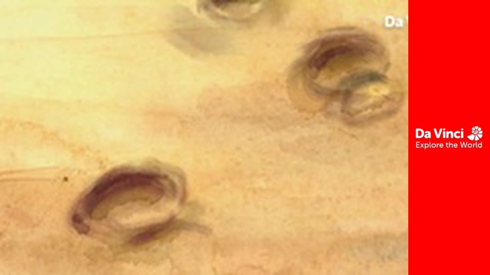 Młode zwierzaczki - Słonie