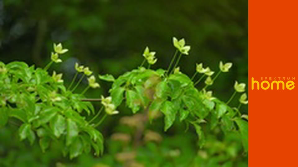 Zahradníkův svět S14E12