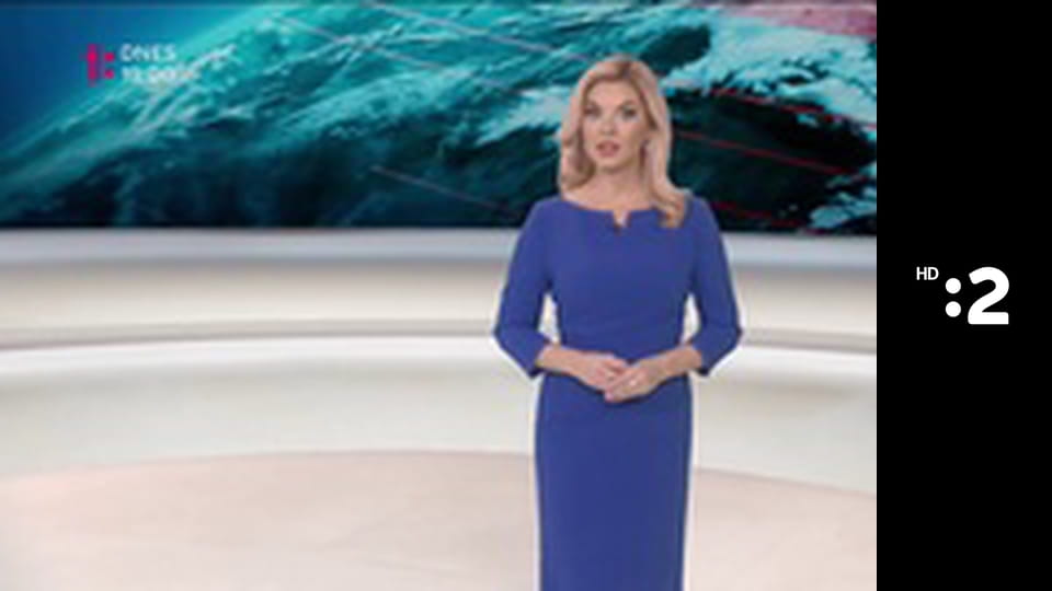 Websterovci S1E3 - Domáce zvieratko