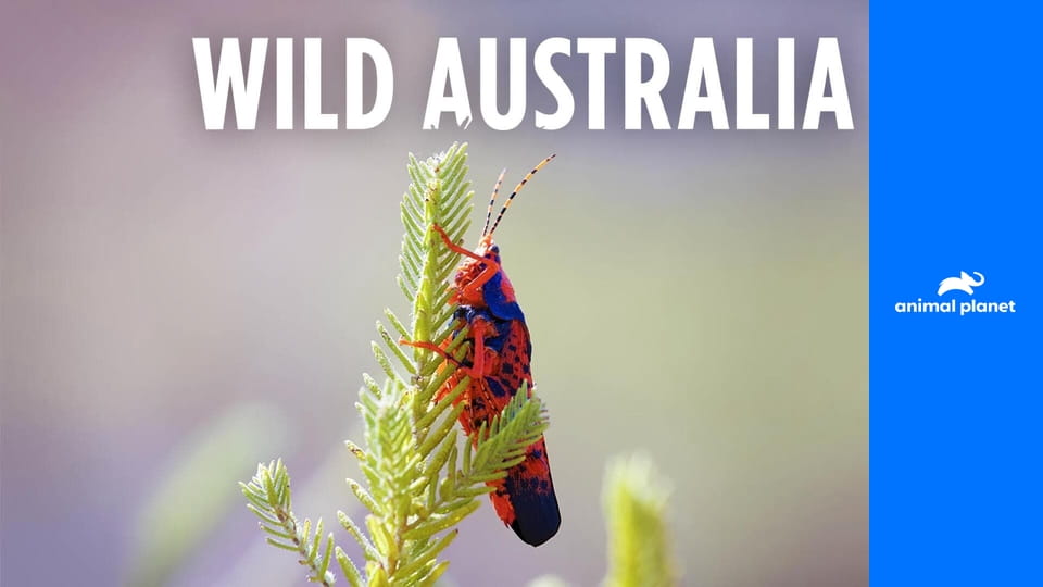 Divoká Austrálie S1E1