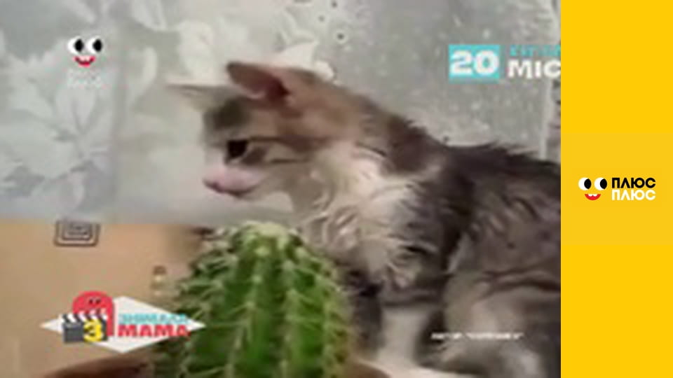 Знімала мама