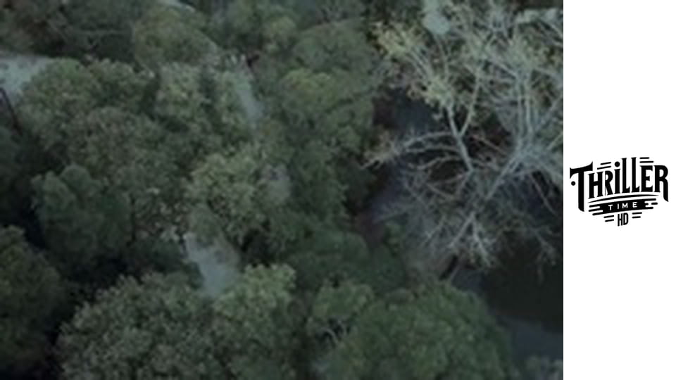 Prokletí spící panny