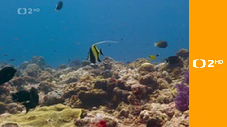 Asie E1 - Pod mořskou hladinou