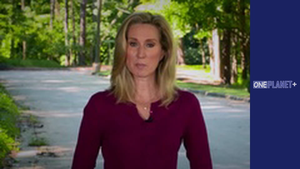 Your fantastic mind, Season 1, Episode 2