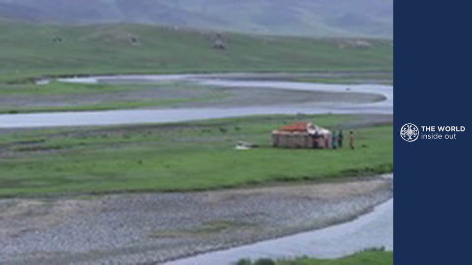 Tevegelés és kobra vs. mongúz harc. Pakisztán.