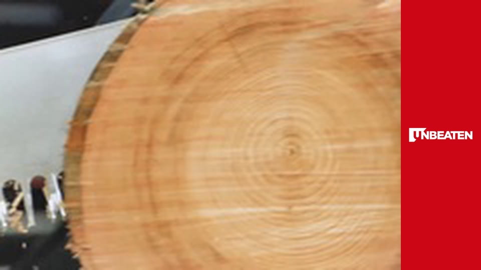 Major Indoor Soccer League