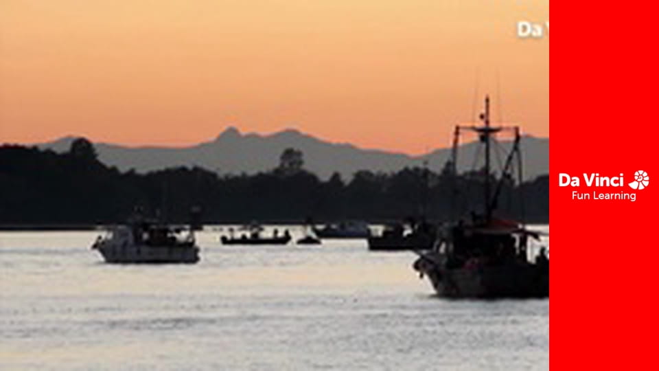 Projekt eksploracja: bajeczna planeta - Schroniska dla zwierząt