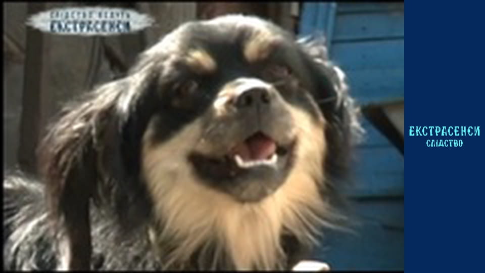 Calls from the other world. Part 2