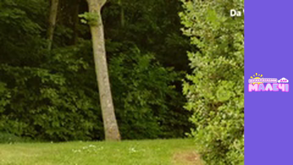 Mily Miss Question - episode 45