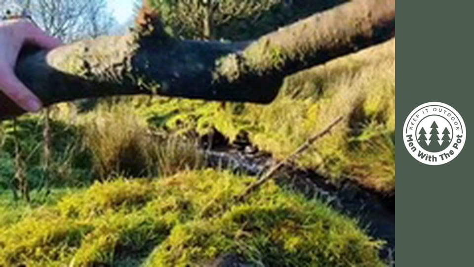 Wspaniała  Carbonara