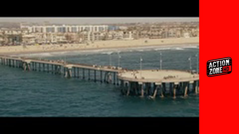 Câinele... sau viața