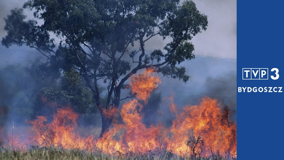 Eko na serio E6 - Co Certyfikat Produkcji Ekologicznej EU oznacza dla środowiska?