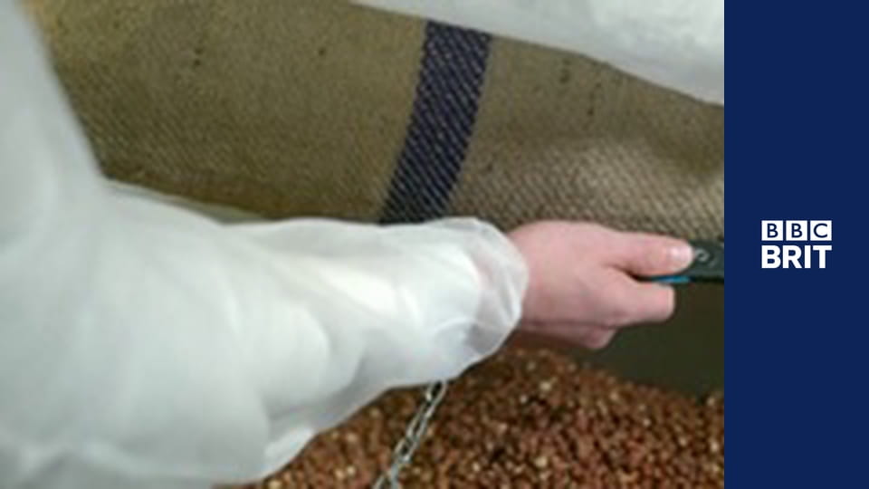 Brytyjskie fabryki S9E1