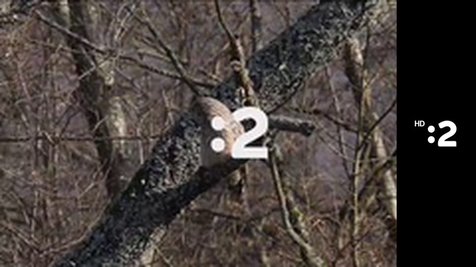 Mimi a Líza E4 - Agent Vitamín