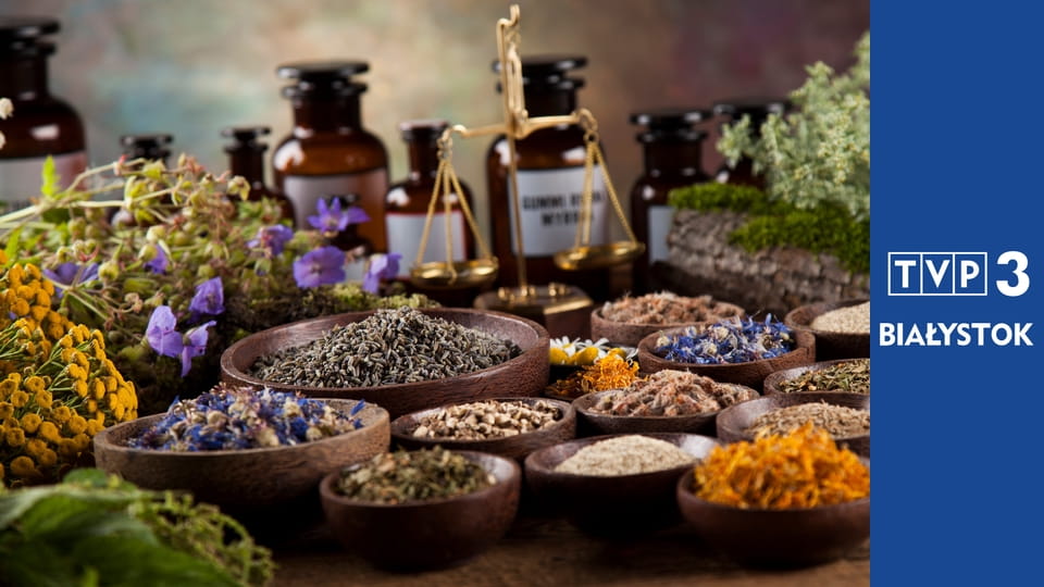 Zielnik regionalny E8