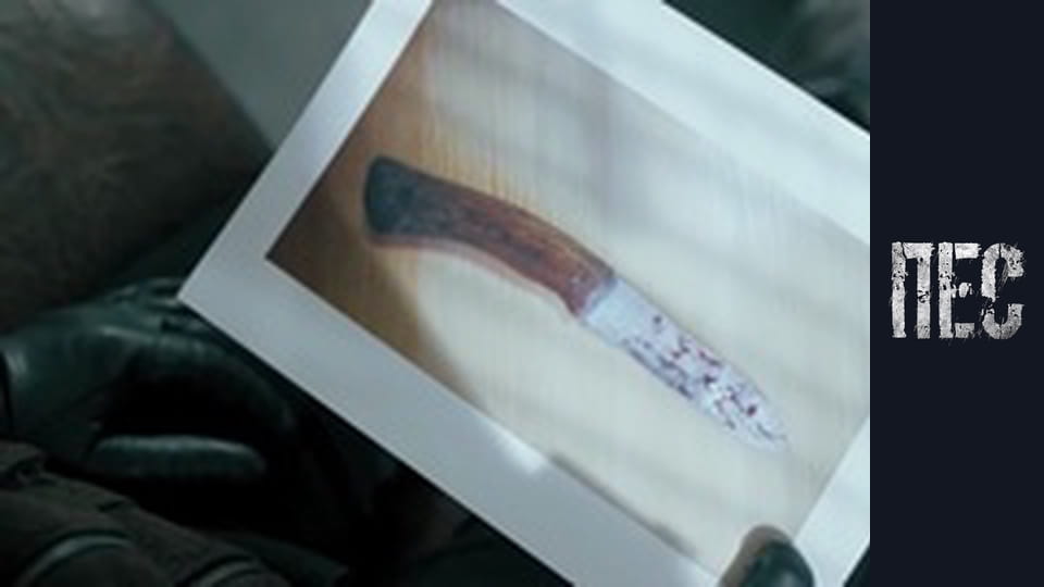 Dog, Season 6, Episode 33