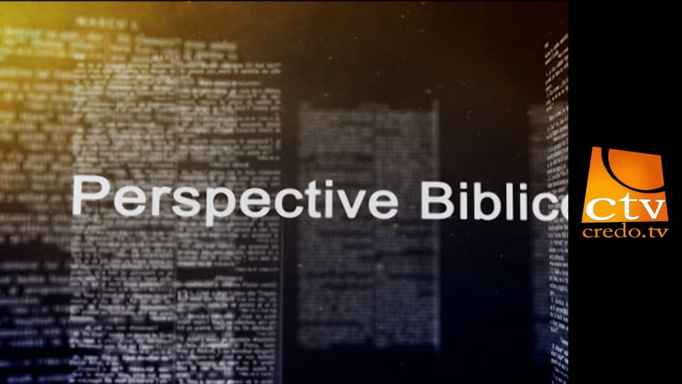 Perspective biblice