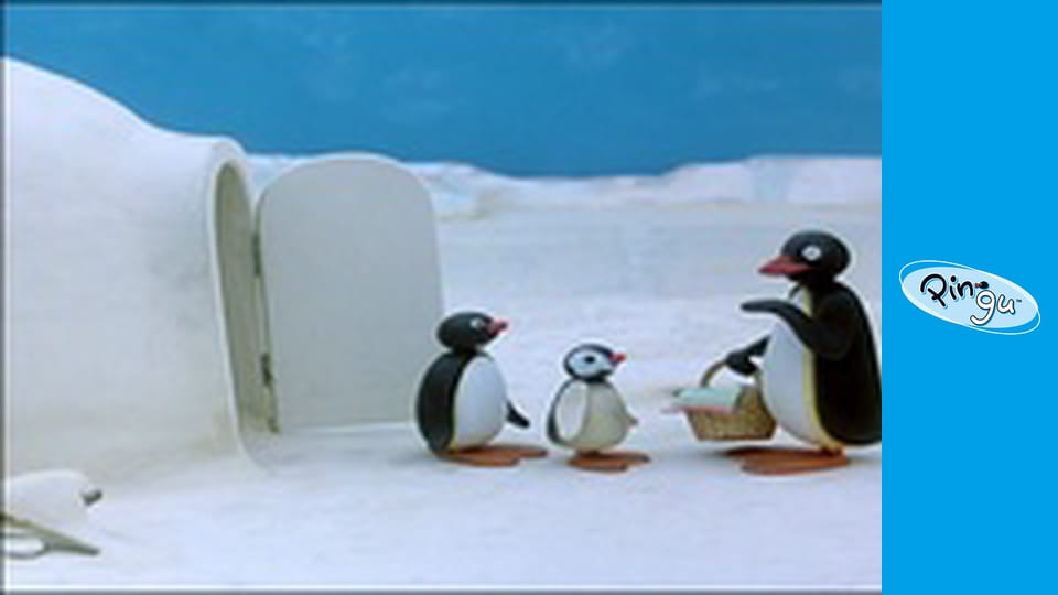 The Pingu Show Sezon 1 Odcinek 31