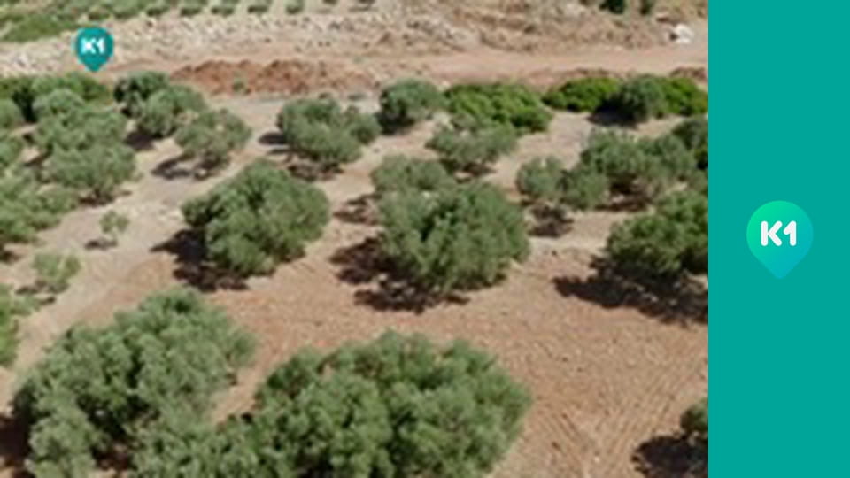 "Хижі до їжі" з Андрієм Бєдняковим.