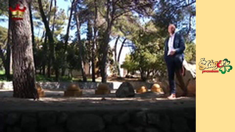 Vstáváme s Premiem - Melodie na dobré ráno