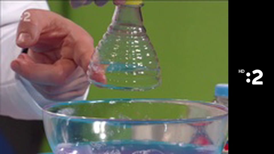 Rodinka líšok a jazvecov E19 - Veľký deň fúzikov