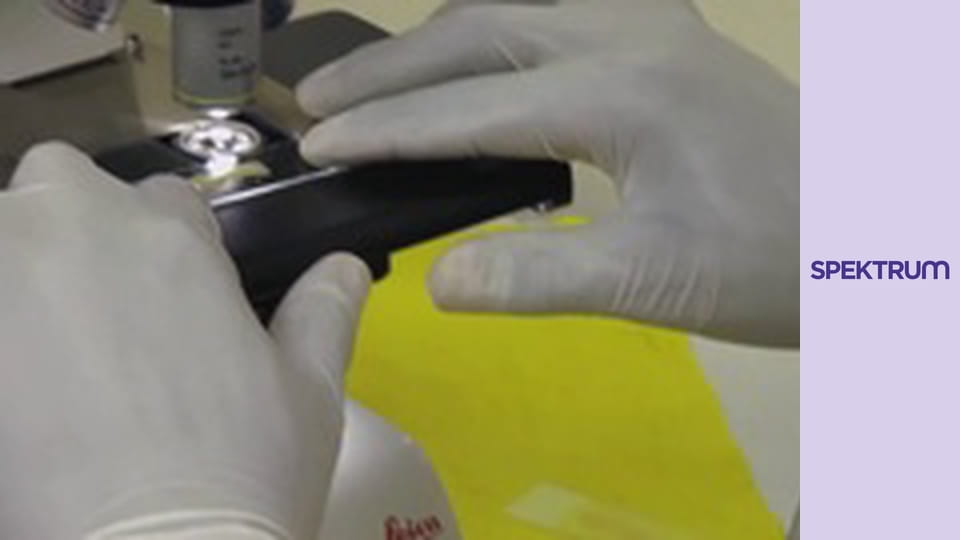 Határtalan drogháborúk S2E10 - Nincs tovább