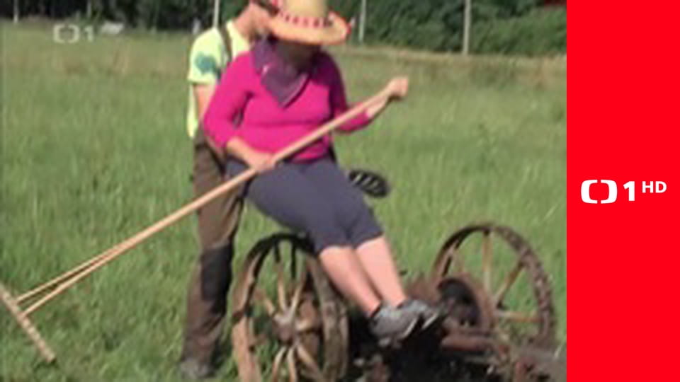 Kuchárska pohotovosť