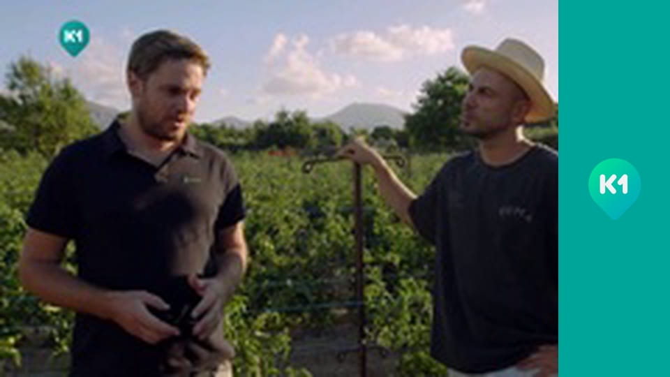 "Інший світ".