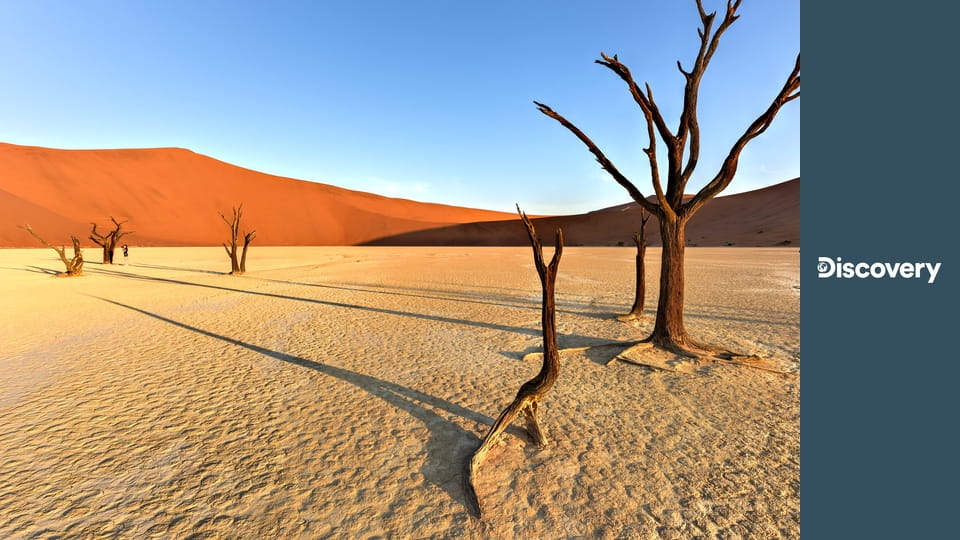 Голые и напуганные S7E13 - Gag Me With A Turtle