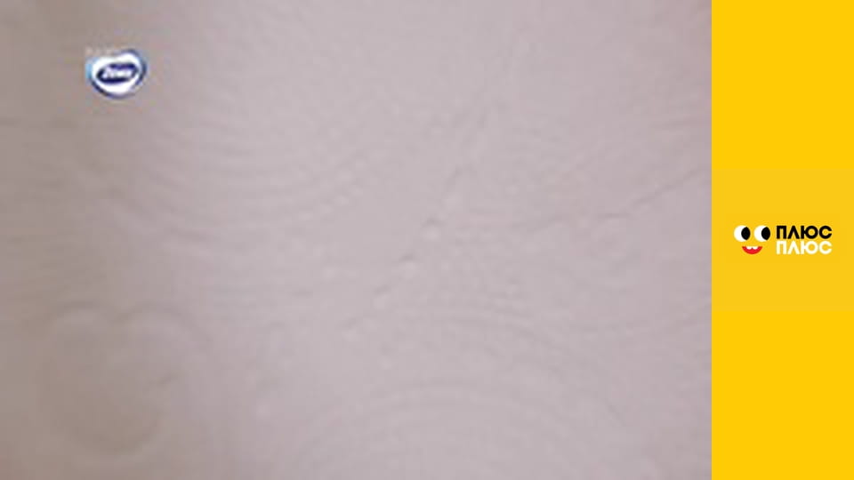 Історія жителів Сильванії