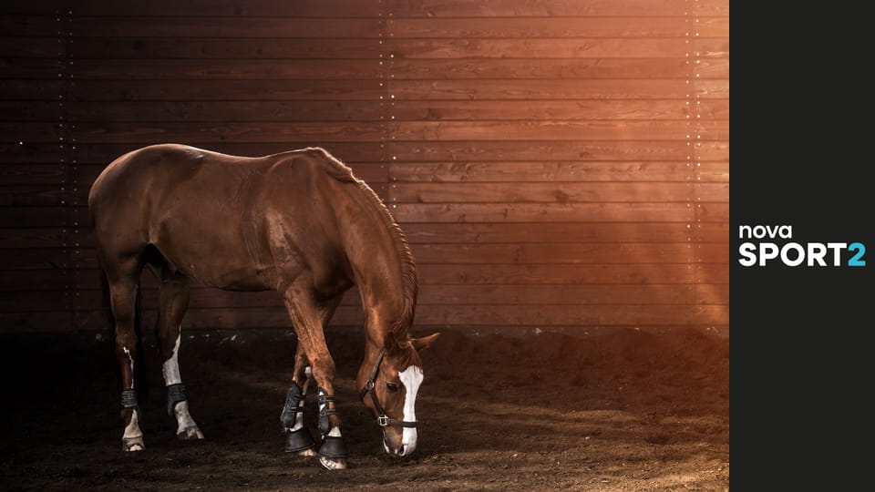 Jezdectví: Global Champions Prague Playoffs