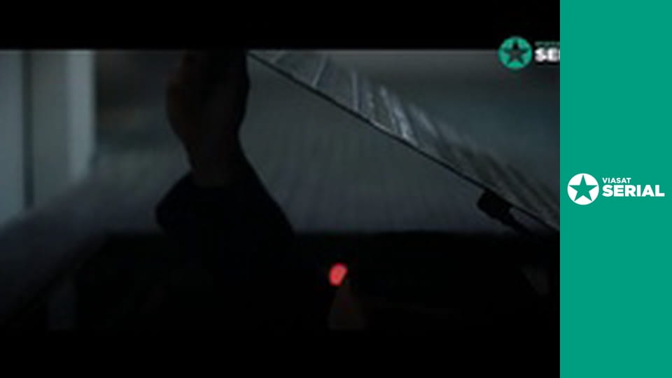 Т/с "День шакала", 8 с.