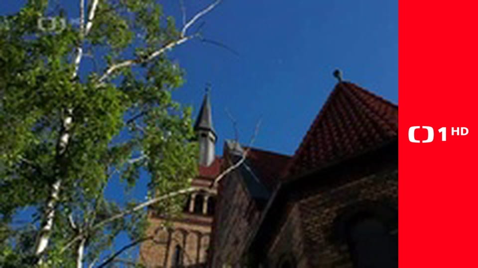 Každý den se rodí život - Prosinec