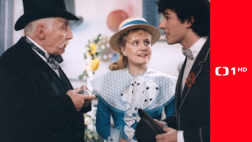 Co medvědi nevědí