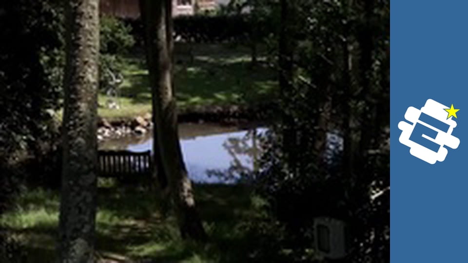 Невеста моего жениха