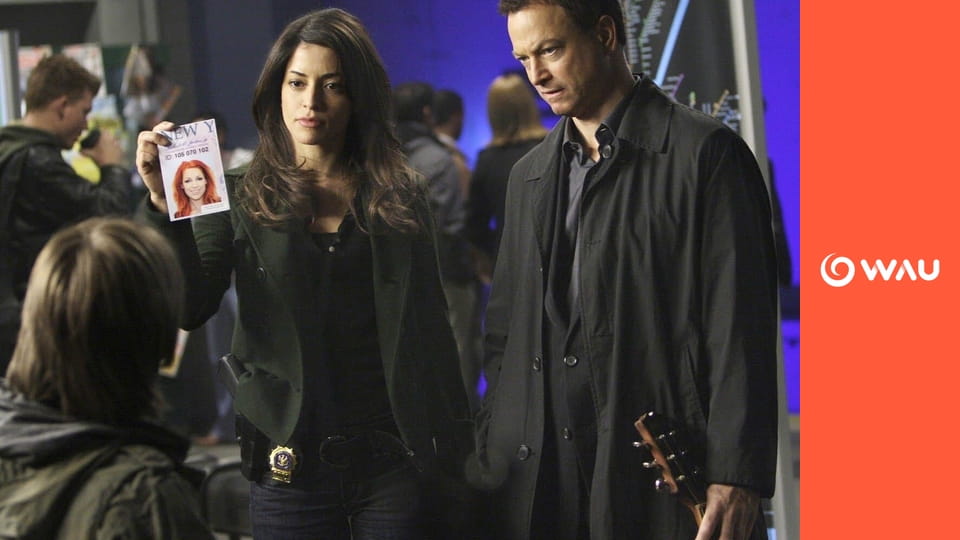 C.S.I.: Kriminálka New York S5E12 - Pomoc