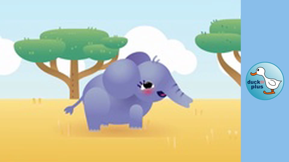 Home Sweet Home - Elephant