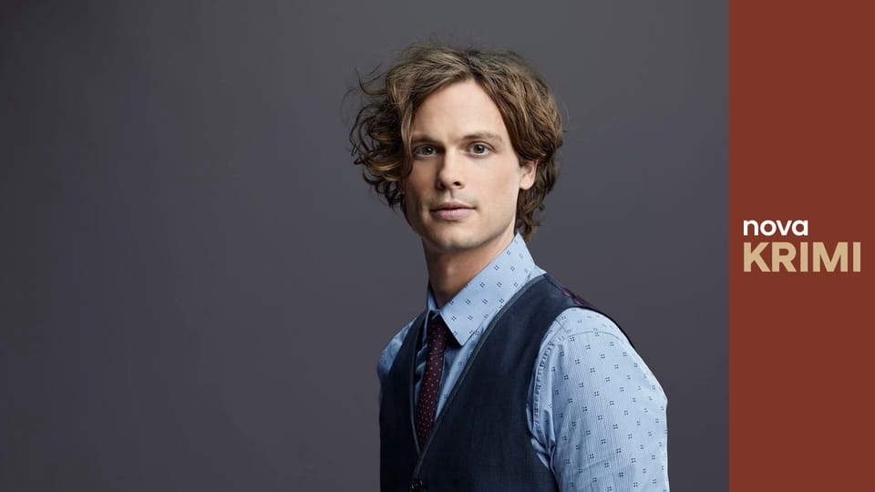 Myšlenky zločince S11E8