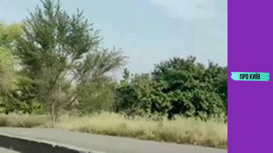 Кафе "Пінгвін" на Куренівці. Історія створення та сьогодення. Культові місця Києва #1.