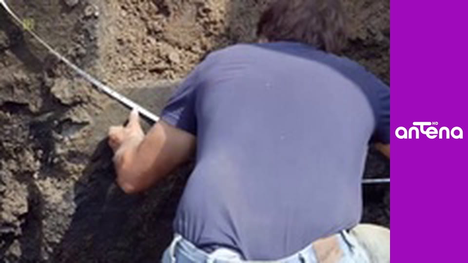 Klątwa Wyspy Dębów S6E13 - Niezwykłe odkrycie