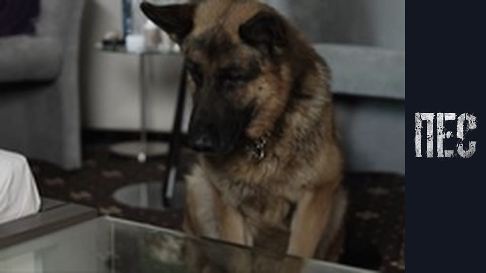 Dog, Season 1, Episode 11