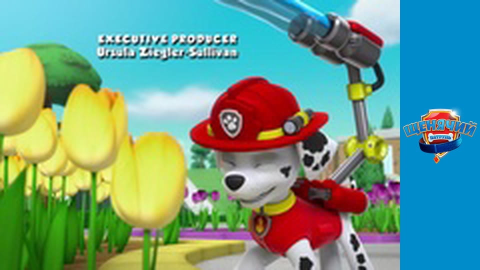 PAW Patrol. Season 5 - Episode 1
