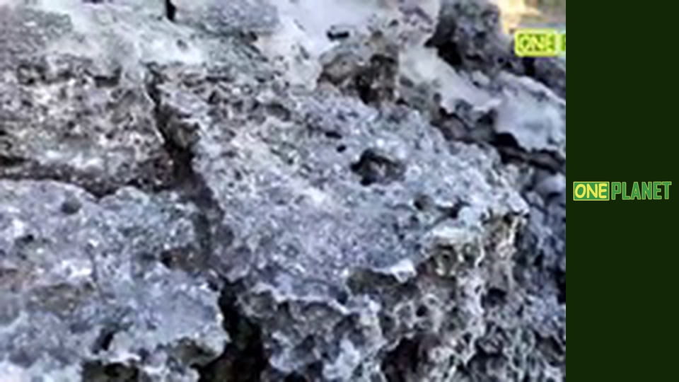 Дальние берега, 2 сезон, 10 эп.