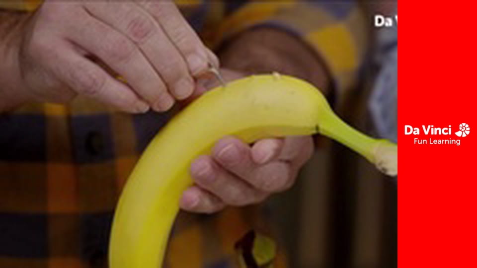 Domowa nauka - Wierz lub nie