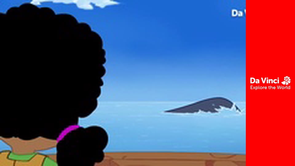 Darwin i Niutka - Wieloryb