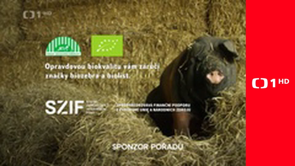 Zpátky do přírody - Šumava