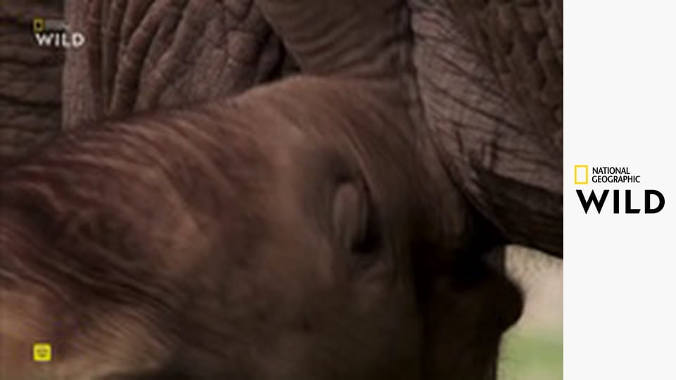 Instinkty zabijáka S1E5 - Zrozen k běhu