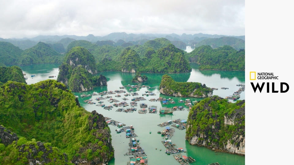 Divoký Vietnam S1E1 - Záhadný sever: Země horských pralesů