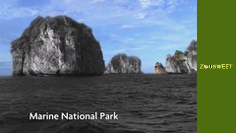 My favorite - episode 9