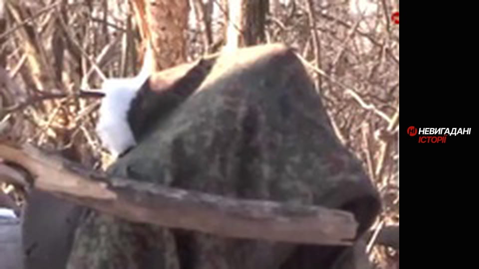 Невигадані історії. Бахмут.